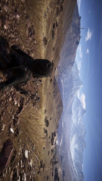 皇家精英：战场逃杀